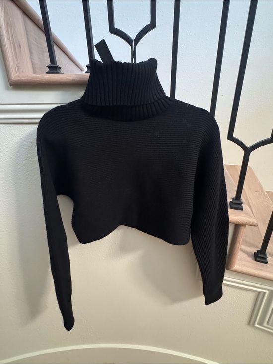 House of Harlow 1960 Sweaters - House of Harlow 1960 Black Cropped Turtleneck Sweater
